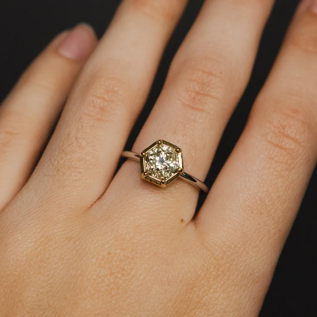 /public/photos/live/384 (1).webp